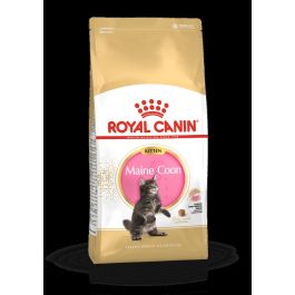 Royal Feline Kitten Maine Coon 4 kg Precio: 59.7899995. SKU: B1AC35SSTJ