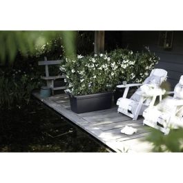 Elho Green Basics 60 Jardinera Exterior Negro Living XXL 59.2x29.5x27.7 cm Plástico 100% Reciclado Resistente a Heladas Elho Green Basics 60 Jardinera Exterior Negro Living XXL 59.2x29.5x27.7 cm Plástico 100% Reciclado Resistente a Heladas
