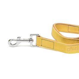 Gloria Correa Oasis 60 cm X 30 mm Amarillo para Perros