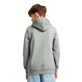 Sudadera con Capucha Niño Puma Essentials 2 Color No.1 Gris