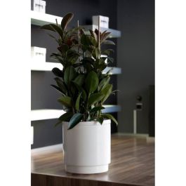 PLASTIKEN Maceta con reserva de agua Hidrojardinera - Ø48 cm - Blanco PLASTIKEN Maceta con reserva de agua Hidrojardinera - Ø48 cm - Blanco