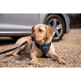 Company Of Animals Arnés de Viaje para Perro Carsafe Negro XS - Seguridad en Coche, Acolchado, Reflectante, Resistente - Cuello 34cm, Cintura 40-52cm