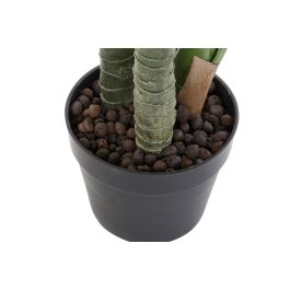 Planta DKD Home Decor Verde Negro 72 x 120 x 75 cm (2 Unidades)