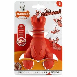 Juguete para perros Nylabone Rojo Carne de vacuno Artificial S Precio: 18.49999976. SKU: B1DVQG5PM7