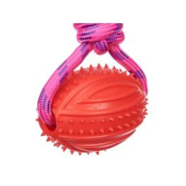 Pelota de Silicona con Cuerda 35 cm - Mascow, Colores Surtidos (24 Unidades) Pelota de Silicona con Cuerda 35 cm - Mascow, Colores Surtidos (24 Unidades)