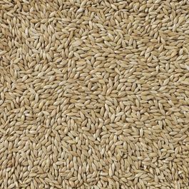 Comida para pájaros Deli Nature Premium 5 kg