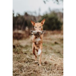 Hunter Juguete para Perro Zorro Billund 23 cm Beige con Relleno Suave y Sostenible de Lana/Poliéster Reciclado