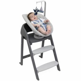 Chicco CHI1721205947457 Silla de Bebé Crescendo Reclinable Gris