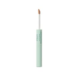 Payot PÂTE GRISE Stylo Duo Purificante Corrector de Maquillaje - Loción Tratante y Color para Imperfecciones 2x3ml