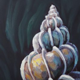 Cuadro Impresión Conchas 2/M Gris 72 X 4 X 100 cm