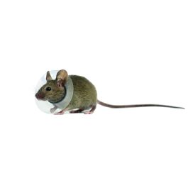 Kvp Saftshield Isabel Roedores 7.5-10 cm Prof11 cm Kvp Saftshield Isabel Roedores 7.5-10 cm Prof11 cm