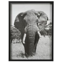 Home Deco Factory Cuadro 45x60 cm Blanco Negro Madera MDF Vidrio Papel Imágenes Blanco y Negro