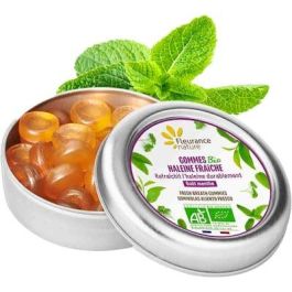 Fleurance Nature Gominolas Aliento Fresco Bio Caja Metalica 35G Té Verde Menta Perejil Precio: 6.5000001. SKU: B1C4BL4PML