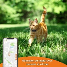 GPS Tracker for Chat - Weenect XS (Black Edition 2023) GPS Tracker for Chat - Weenect XS (Black Edition 2023)