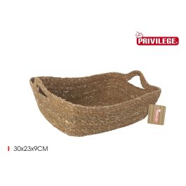 Privilege Cesta Cónica de Mimbre Recogida con Asa 30 cm x 23 cm x 9 cm (8 Unidades)