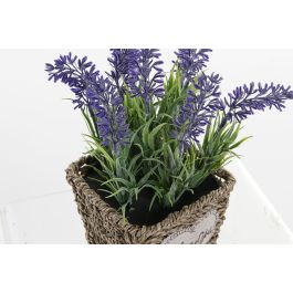 DKD Home Decor Planta Lila Natural Metal Pe 12 x 22 x 12 cm (6 Unidades)