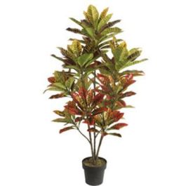 DKD Home Decor Planta Verde Marron 50 x 140 x 50 cm Precio: 90.59000049. SKU: B1B85J5FQK