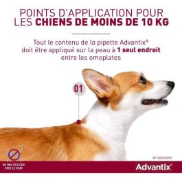 Pipetas antiparasitarias ADVANTIX 6: para perros pequeños de 4 a 10 kg