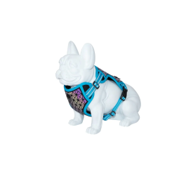 Freedog Arnés Boreal Azul Capri para perros, Cuello 20 mm, Talla 38-59 cm, Peso 38-75 kg Precio: 19.59000043. SKU: B1JBHV7WR5