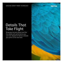 Xerox 106R03518 Módulo de Tóner Cian (4800 Páginas) para VersaLink C400 / C405 - Alto Rendimiento