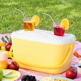 Nevera Portátil Rígida Lilty InnovaGoods 15 L