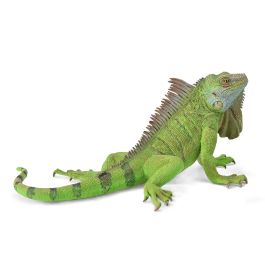 Collecta 88965 Iguana XL - Figura de Réplica Real a Escala Pintada a Mano, Reptil Detallado para Coleccionistas +3 Años Precio: 9.9583. SKU: B14MDNETWG