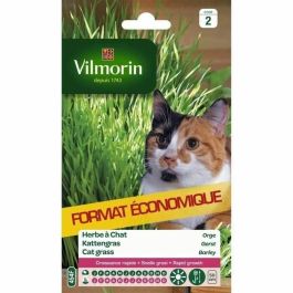 Vilmorin VIL3182670215858 Sobre de Semillas de Hierba Gatera Cebada Vilmorin VIL3182670215858 Sobre de Semillas de Hierba Gatera Cebada Precio: 19.79000012. SKU: B13XYTHDJ8