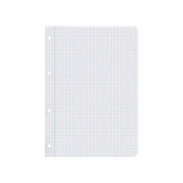 Liderpapel Recambio A4 100 Hojas 75gr Cuadro 4mm Con Margen 4 Taladros