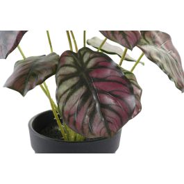 Planta  DKD Home Decor Verde Rosa 10 x 27 x 10 cm (10 Unidades)