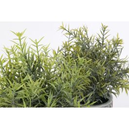 Planta  DKD Home Decor Verde Verde Musgo 12 x 25 x 12 cm (12 Unidades)