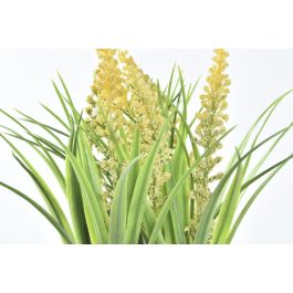 Planta DKD Home Decor Amarillo Blanco 9 x 21 x 9 cm (12 Unidades)