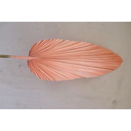 Rama Urban DKD Home Decor Rosa Naranja 2 x 148 x 22 cm (12 Unidades)