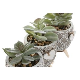 Planta Shabby DKD Home Decor Gris Verde 9.5 x 12 x 9.5 cm (3 Unidades)