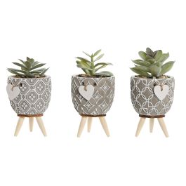 Planta Shabby DKD Home Decor Gris Verde 9.5 x 12 x 9.5 cm (3 Unidades) Precio: 10.2849994313. SKU: B18D55PMGX