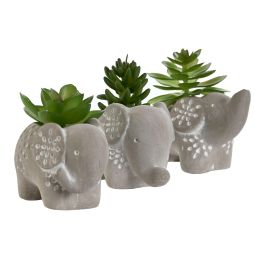 Planta DKD Home Decor Gris Verde 5 x 7 x 8 cm (3 Unidades)