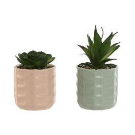 Planta Urban DKD Home Decor Beige Verde 10 x 20 x 10 cm (12 Unidades) Precio: 60.88999994. SKU: B1G9KBVBFZ