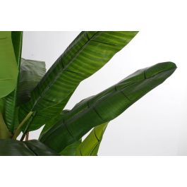 Planta Tropical DKD Home Decor Verde Negro 130 x 200 x 130 cm (2 Unidades)