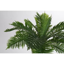 Planta Tropical DKD Home Decor Verde Negro 90 x 120 x 80 cm (2 Unidades)