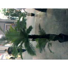 Planta Tropical DKD Home Decor Verde Negro 90 x 120 x 80 cm (2 Unidades) Precio: 199.58999973. SKU: B1EC2E3P3Q