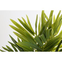 Planta Tropical DKD Home Decor Verde 50 x 70 x 40 cm (2 Unidades)