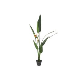 Planta Tropical DKD Home Decor Verde Naranja 50 x 150 x 50 cm (2 Unidades) Precio: 179.49999947. SKU: B19HL9NYNW