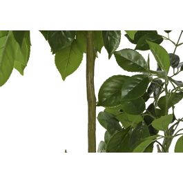 Planta  DKD Home Decor Verde 80 x 120 x 80 cm (2 Unidades)