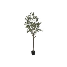 Arbol DKD Home Decor Verde 80 x 180 x 80 cm (2 Unidades) Precio: 286.16499933449995. SKU: B1FTS4FGHD