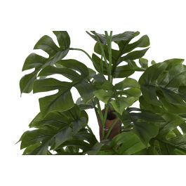 Planta  DKD Home Decor Verde 30 x 60 x 30 cm (2 Unidades)