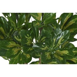 Planta DKD Home Decor Verde 50 x 120 x 50 cm (2 Unidades)