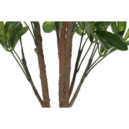 Planta DKD Home Decor Verde 50 x 120 x 50 cm (2 Unidades)