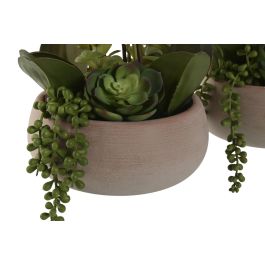 Planta DKD Home Decor Blanco Rosa 35 x 52 x 40 cm (2 Unidades)