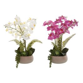 Planta DKD Home Decor Blanco Rosa 35 x 52 x 40 cm (2 Unidades) Precio: 78.04499981849999. SKU: B1C9XARDRM