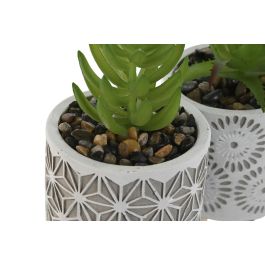 Planta DKD Home Decor Gris Verde 6.5 x 11 x 6.5 cm (3 Unidades)