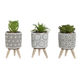 Planta DKD Home Decor Gris Verde 6.5 x 11 x 6.5 cm (3 Unidades) Precio: 9.0749998427. SKU: B13MSEZMD2